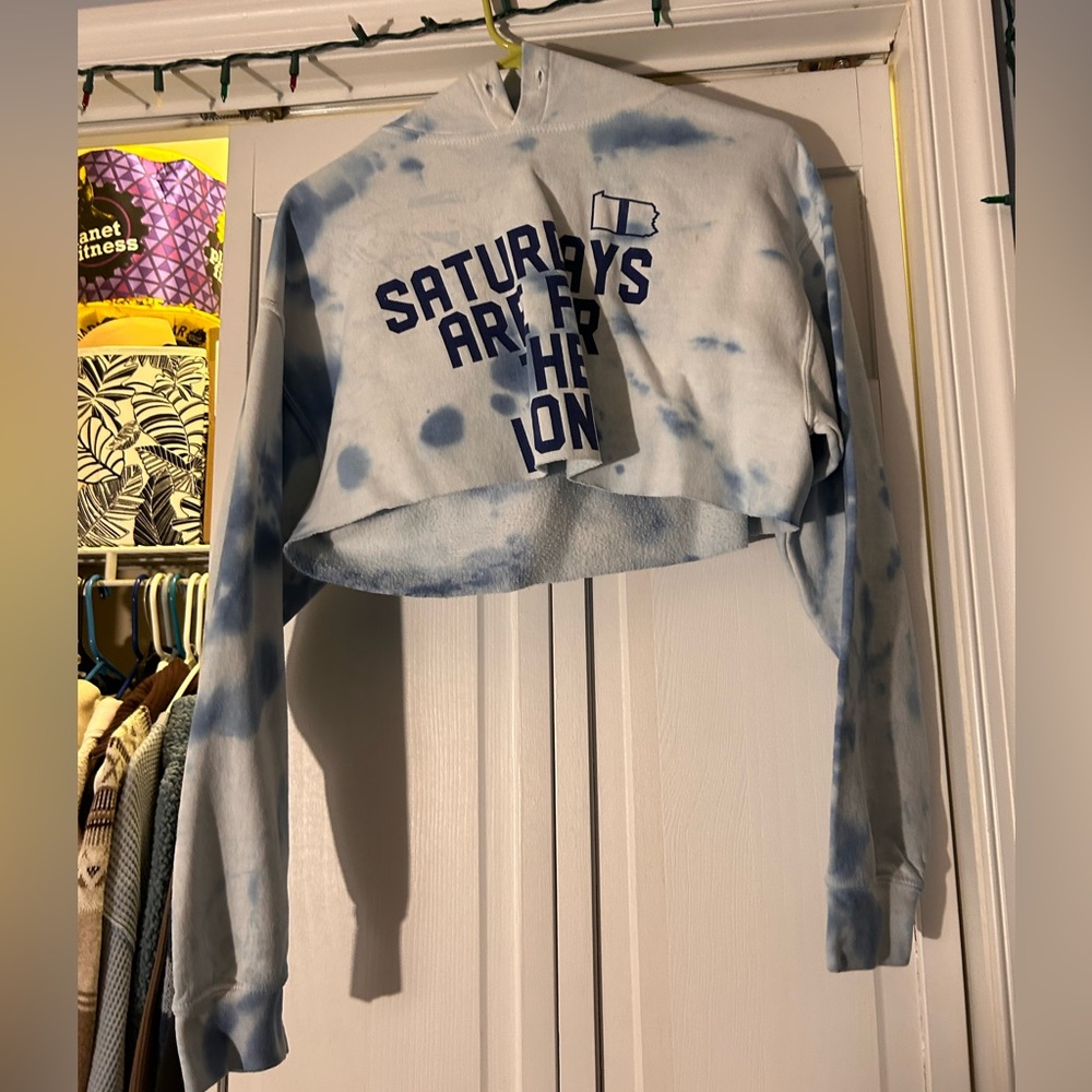 Penn state cropped hoodie